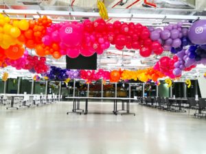 Organic Balloon Decorations