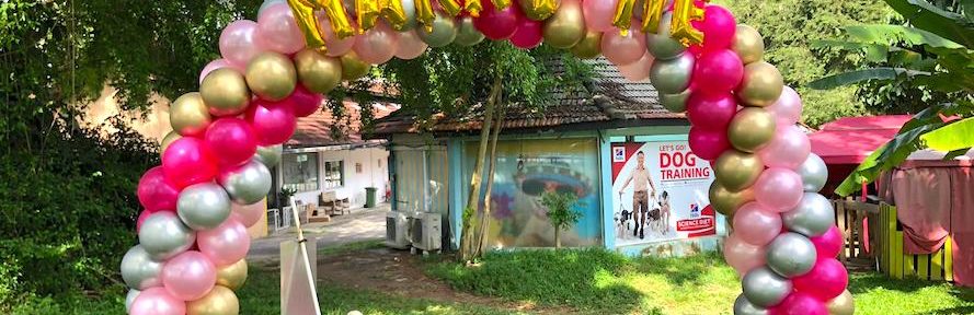 Cheap Balloon Arch Decorations In Singapore