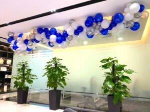 Organic Balloon Decoration for Corporate Office