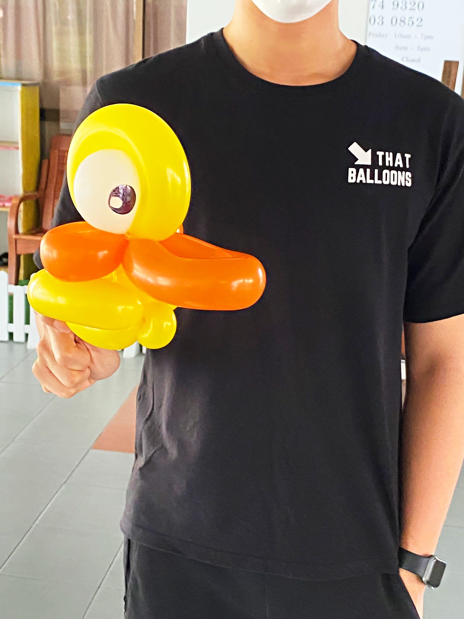 Balloon Animal Designs: From Handheld Pets to Display Sculptures